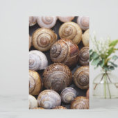Muscheln Briefpapier (Stehend Vorderseite)