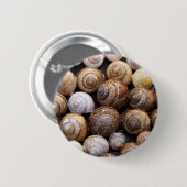 Muscheln Button (Vorne & Hinten)