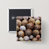 Muscheln Button (Vorne & Hinten)