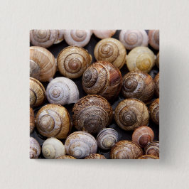 Muscheln Button