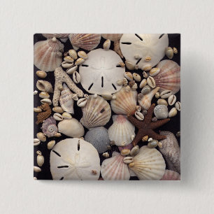 Muscheln Button
