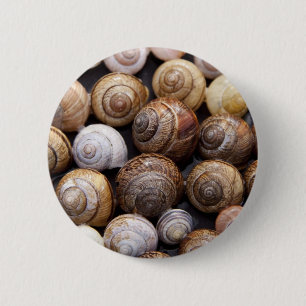 Muscheln Button
