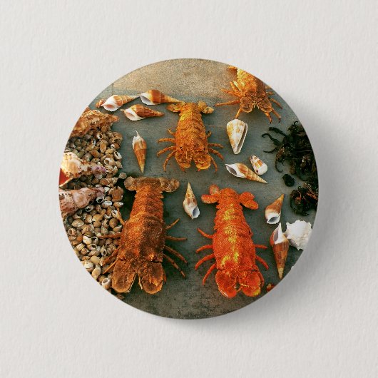 Muscheln Button (Vorderseite)