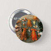 Muscheln Button (Vorne & Hinten)