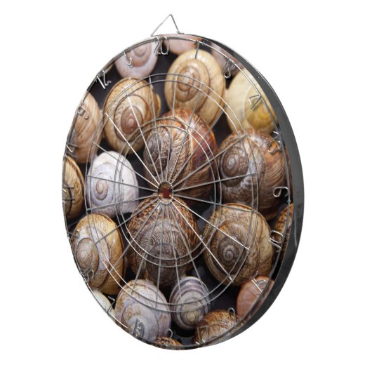 Muscheln Dartscheibe (Vorderseite rechts)
