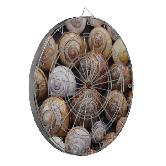 Muscheln Dartscheibe (Vorderseite Links)