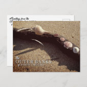 Muscheln der Außenbanken Postkarten (Vorne/Hinten)
