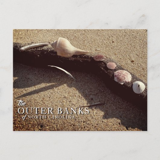 Muscheln der Außenbanken Postkarten (Vorderseite)