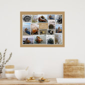 Muscheln der Insel Daufuskie, SC Poster (Küche)