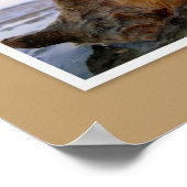 Muscheln der Insel Daufuskie, SC Poster (Ecke)