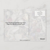 Muscheln der karibischen und pazifischen Muschel Postkarte (Rückseite)