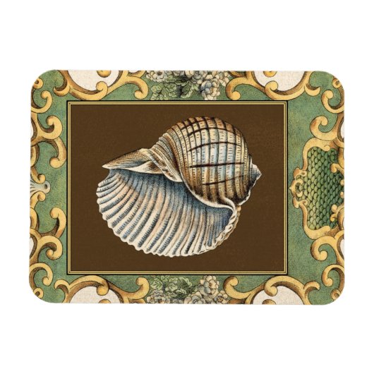 Muscheln der kleinen Meerjungfrau Magnet (Horizontal)