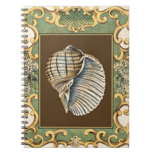 Muscheln der kleinen Meerjungfrau Notizblock