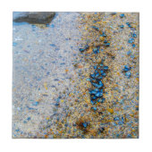 Muscheln der Mussel in Maine Fliese (Vorderseite)