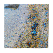 Muscheln der Mussel in Maine