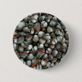 Muscheln des Blutcockle Button (Vorderseite)