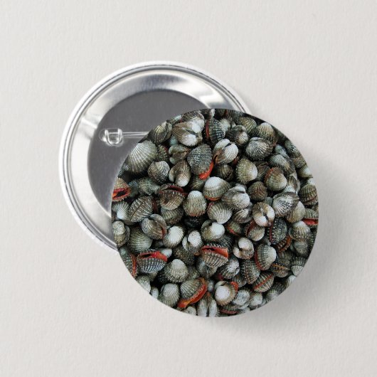 Muscheln des Blutcockle Button (Vorne & Hinten)