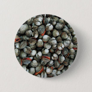 Muscheln des Blutcockle Button