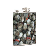 Muscheln des Blutcockle Flachmann (Rechts)