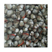 Muscheln des Blutcockle Fliese (Vorderseite)