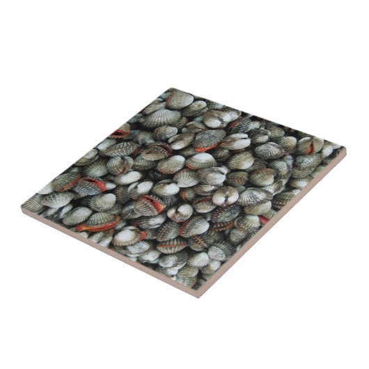 Muscheln des Blutcockle Fliese (Seite)