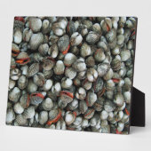 Muscheln des Blutcockle Fotoplatte (Seite)