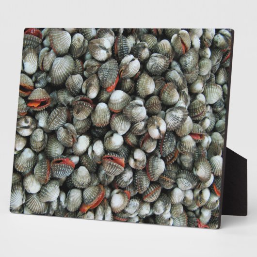 Muscheln des Blutcockle Fotoplatte (Seite)