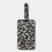Muscheln des Blutcockle Gepäckanhänger (Rückseite vertikal)