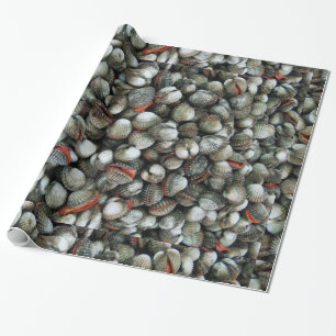 Muscheln des Blutcockle Geschenkpapier