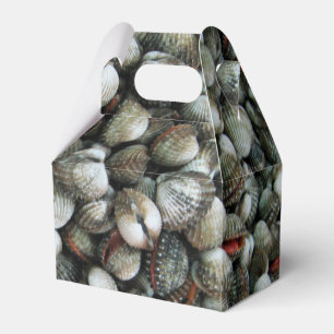 Muscheln des Blutcockle Geschenkschachtel