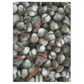 Muscheln des Blutcockle Klemmbrett (Rückseite)