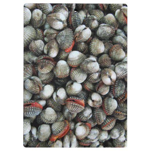 Muscheln des Blutcockle Klemmbrett (Rückseite)