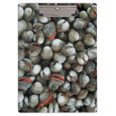 Muscheln des Blutcockle Klemmbrett (Vorderseite)