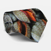 Muscheln des Blutcockle Krawatte (Gerollt)