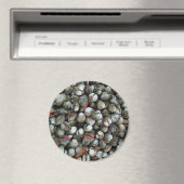 Muscheln des Blutcockle Magnet (In Situ (Geschirrspüler))