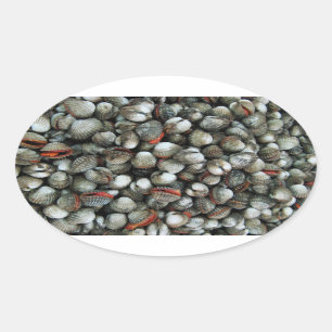 Muscheln des Blutcockle Ovaler Aufkleber
