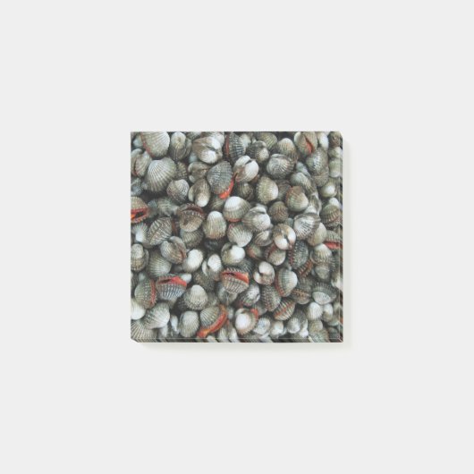 Muscheln des Blutcockle Post-it Klebezettel (Vorderseite)