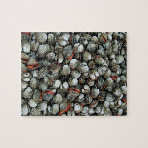 Muscheln des Blutcockle Puzzle