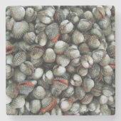 Muscheln des Blutcockle Steinuntersetzer (Vorderseite)