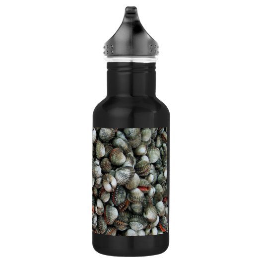 Muscheln des Blutcockle Trinkflasche (Rechts)