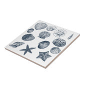 Muscheln des nautischen blauen Ozeans Fliese (Seite)