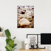 Muscheln direkt am Meer. Drucken Poster (Heimbüro)