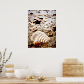 Muscheln direkt am Meer. Drucken Poster (Küche)