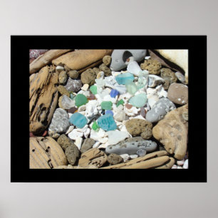 Muscheln drucken Blaue Glattleder Poster