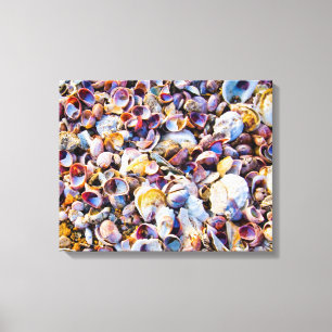 Muscheln durch das Seeufer Leinwanddruck