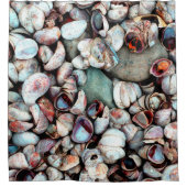 Muscheln Duschvorhang (Vorderseite)