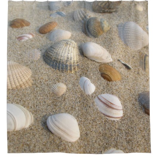 Muscheln Duschvorhang (Vorderseite)