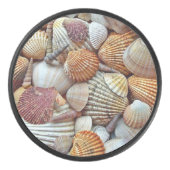 Muscheln Eishockey Puck (Vorderseite)