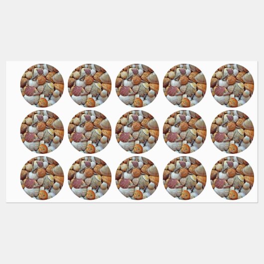 Muscheln Etiketten (Blatt)