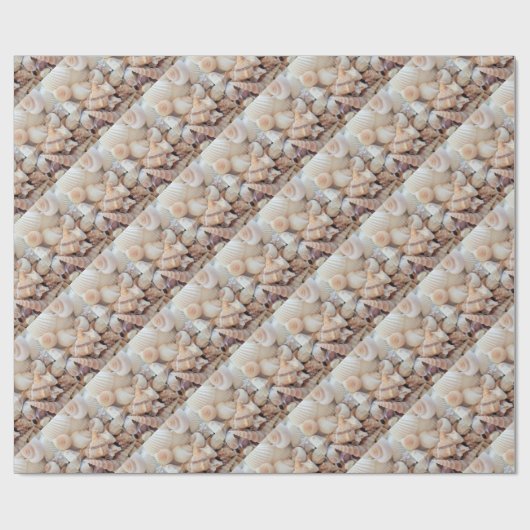 Muscheln, exotische Sommerfotografie Geschenkpapier (Flach)